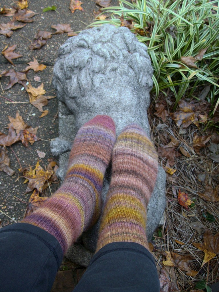 Pigeonroof socks