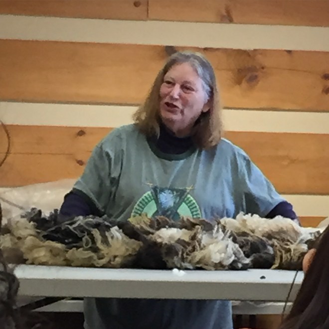 Ms. MacKenzie lays down some knowledge about Jacob sheep.