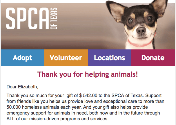 EEKnits fundraiser SPCA donation